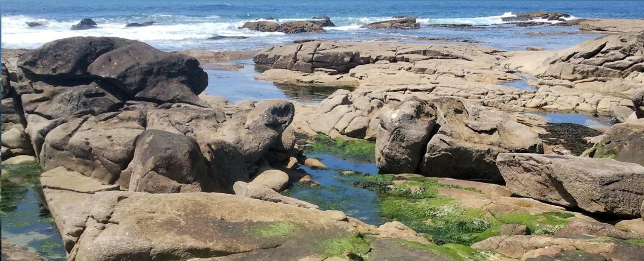 Varandas Da Sandia Vila Praia de Âncora Kültér fotó