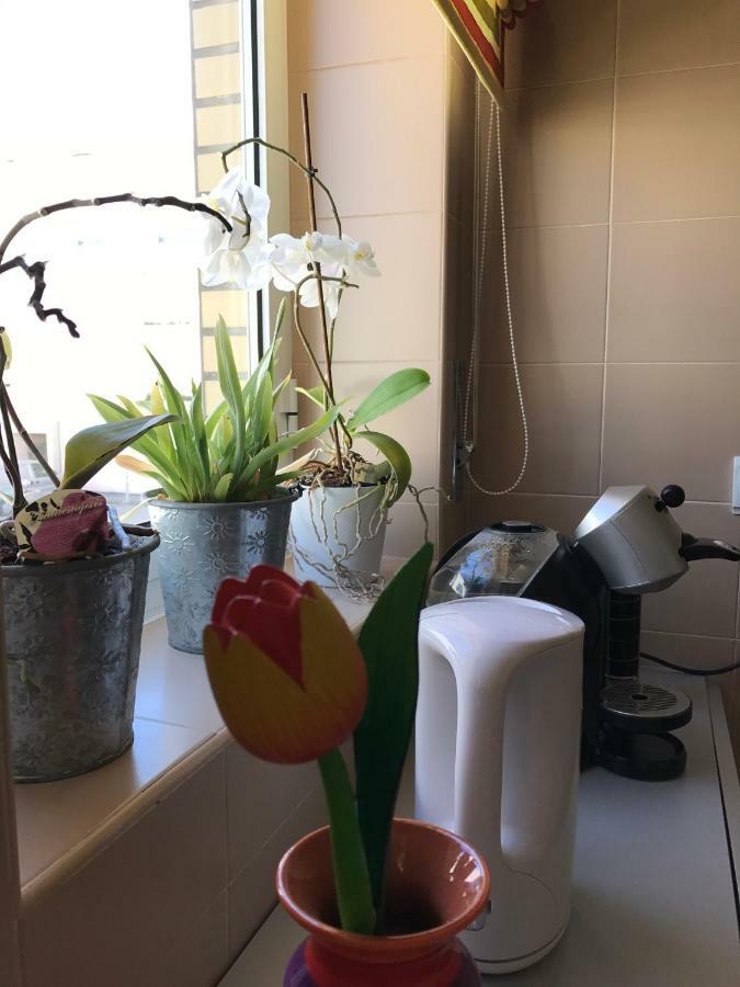 Varandas Da Sandia Vila Praia de Âncora Kültér fotó